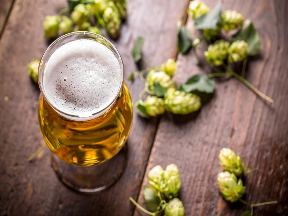brewery equipment sales,brewery equipment prices